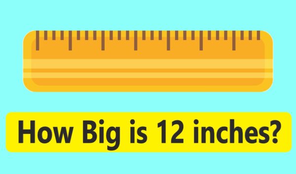 how big is 12 inches