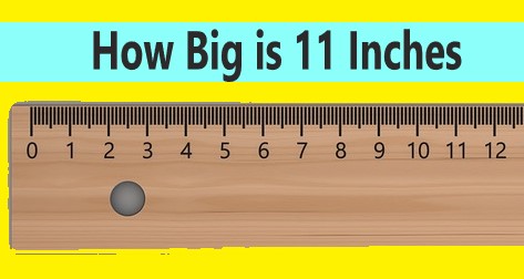 how big is 11 inches