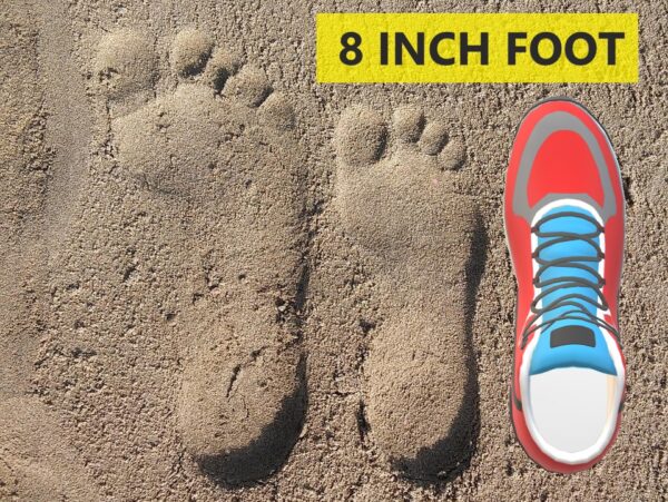 Two foot and one shoe