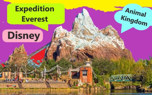 Expedition Everest is the 200 feet tallest attraction at Walt Disney World