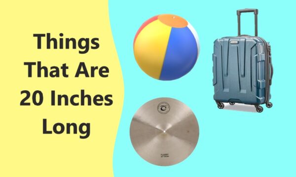 Things that are 20 inches long
